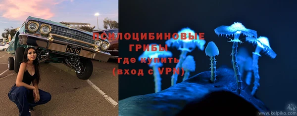 а пвп мука Абаза