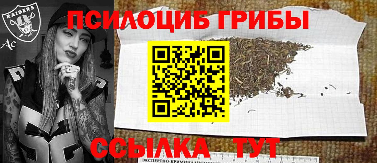 Сызрань  Галлюциногенные грибы мухоморы  Вход с VPN  Псилоцибиновые грибы Psilocybine cubensis 